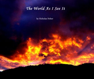 The World As I See It book cover