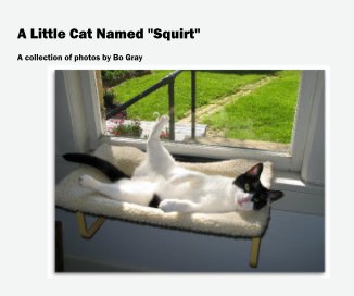 A Little Cat Named "Squirt" book cover