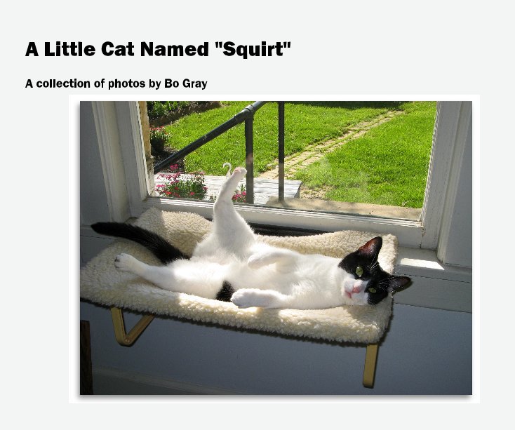 View A Little Cat Named "Squirt" by Bo Gray