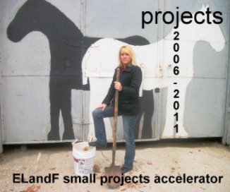 ELandF small projects book cover