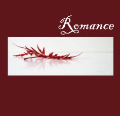 Romance book cover