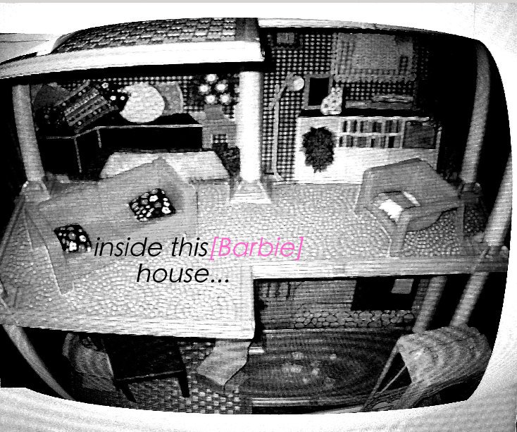 View inside this[Barbie] house... by erin kelly