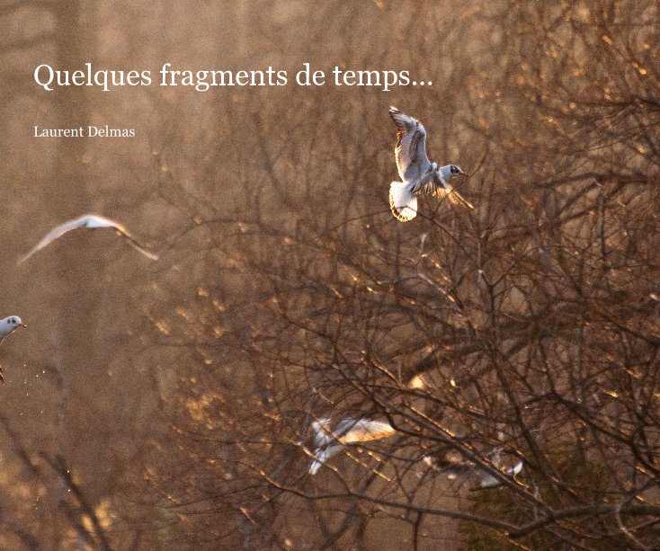 Bekijk Quelques fragments de temps... op Laurent Delmas