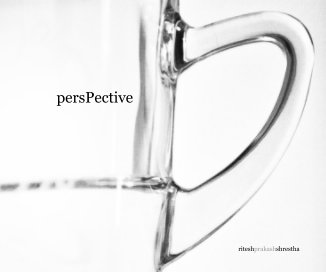 persPective book cover