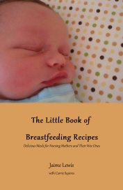 The Little Book of Breastfeeding Recipes book cover