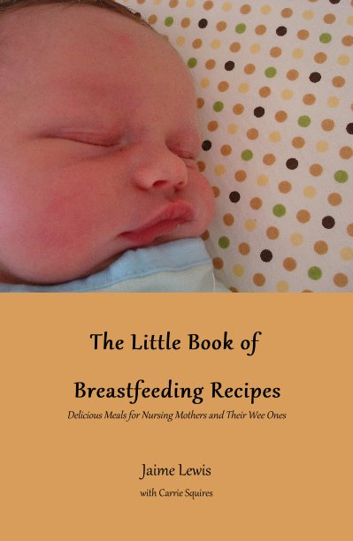 View The Little Book of Breastfeeding Recipes by Jaime Lewis with Carrie Squires