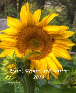 Ridin', Reinin' and Writin' 2010 book cover