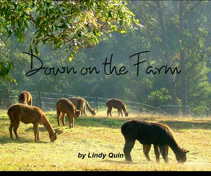 View Down on the Farm by Lindy Quin