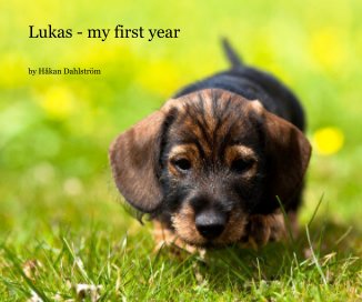 Lukas - my first year book cover