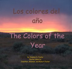 Los colores del año book cover