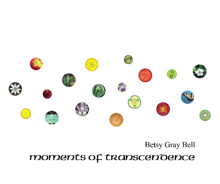 View Moments of Transcendence by Betsy Gray Bell