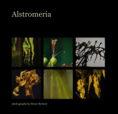 Alstromeria book cover