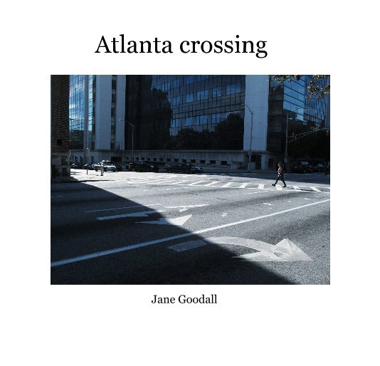 View Atlanta crossing by JaneG