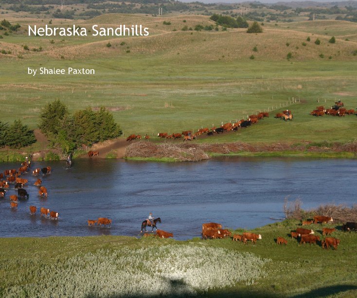 View Nebraska Sandhills by Shalee Paxton