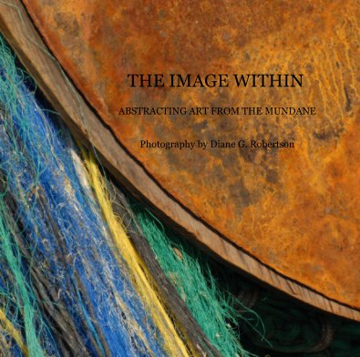 THE IMAGE WITHIN ABSTRACTING ART FROM THE MUNDANE Photography by Diane G. Robertson book cover