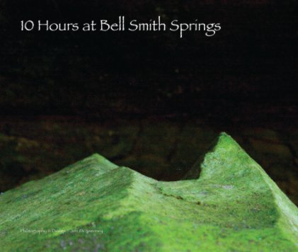 Bell Smith Springs book cover