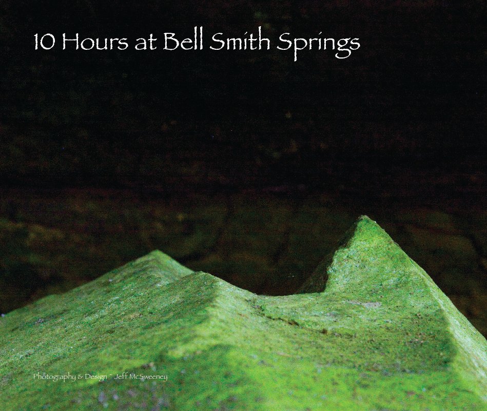 View Bell Smith Springs by Jeff McSweeney