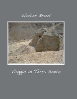 Viaggio in Terra Santa book cover