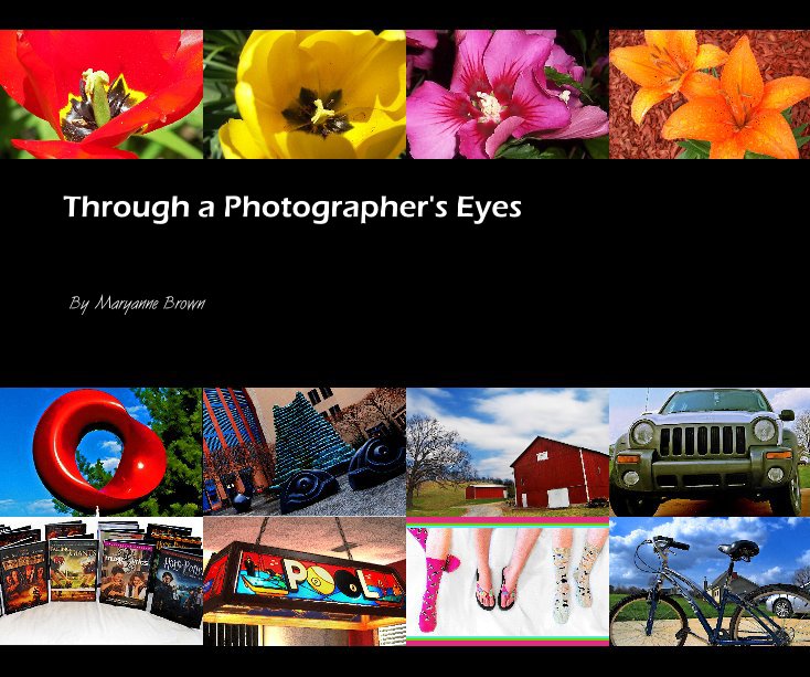View Through a Photographer's Eyes by Maryanne Brown