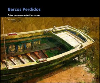 Barcos Perdidos book cover