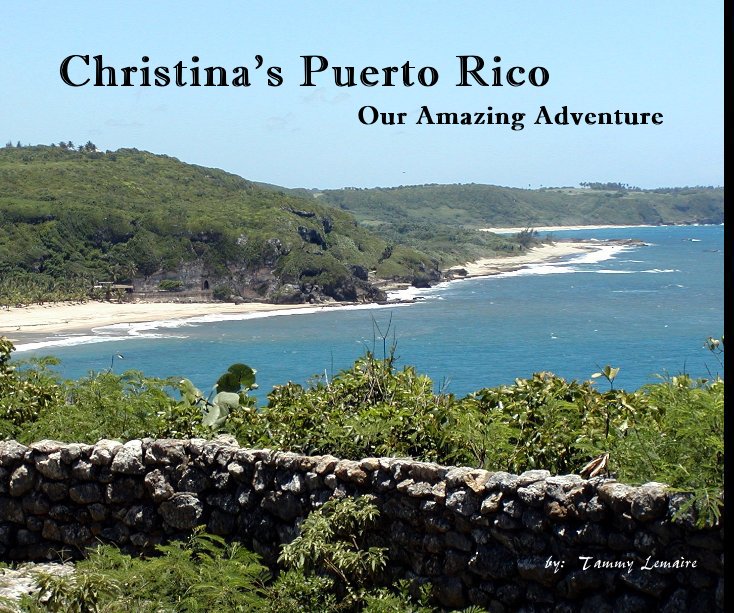View Christina's Puerto Rico by by: Tammy Lemaire