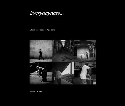 Everydayness... book cover