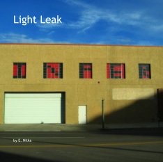 Light Leak book cover