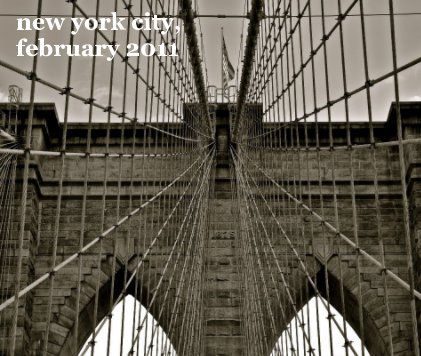 new york city, february 2011 book cover