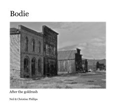 Bodie book cover