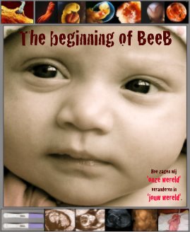 The beginning of BeeB book cover