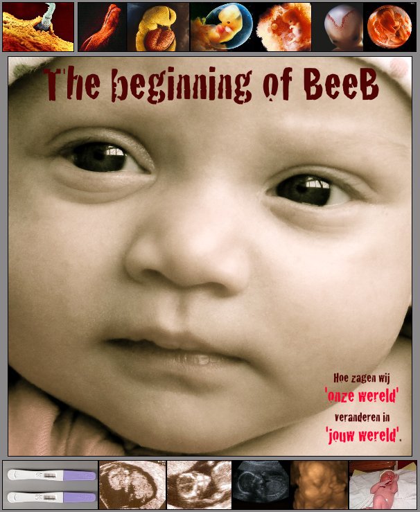 View The beginning of BeeB by Geschreven door mama. Voor Naomi.