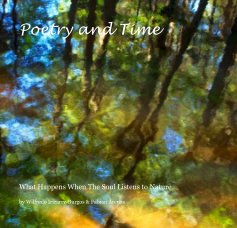 Poetry and Time book cover