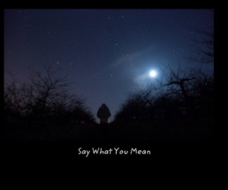 Say What You Mean book cover