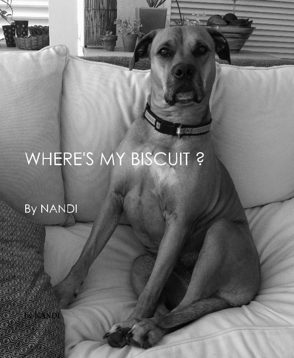 Visualizza WHERE'S MY BISCUIT ? di NANDI