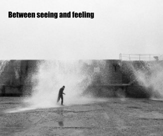 Between seeing and feeling book cover
