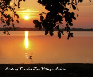 Birds of Crooked Tree Village, Belize book cover