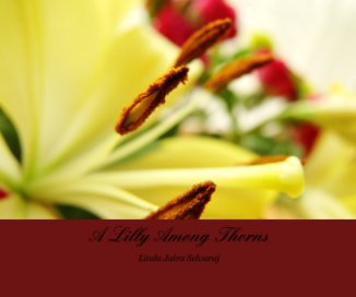 A Lilly Among Thorns book cover