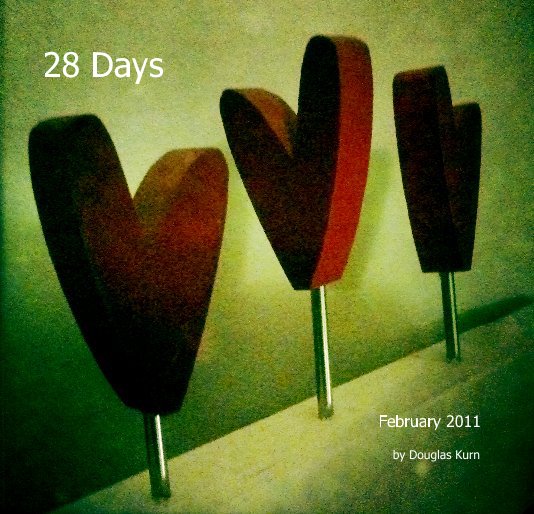 View 28 Days by Douglas Kurn