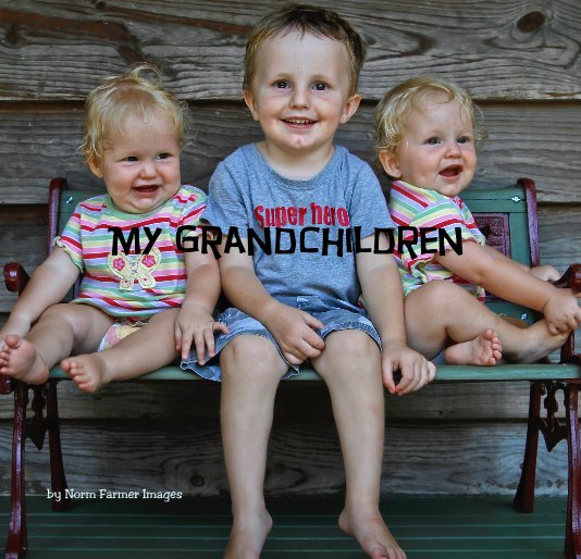 View My Grandchildren by Norm Farmer Images