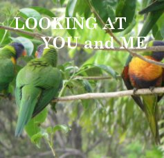 LOOKING AT YOU and ME book cover