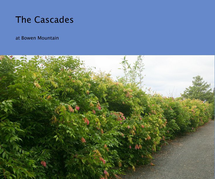 View The Cascades by Paul & Lesley Hulbert