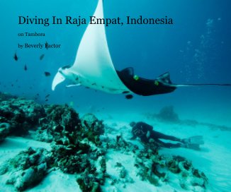 Diving In Raja Empat, Indonesia book cover