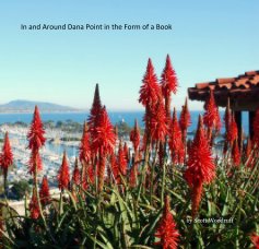 In and Around Dana Point in the Form of a Book book cover