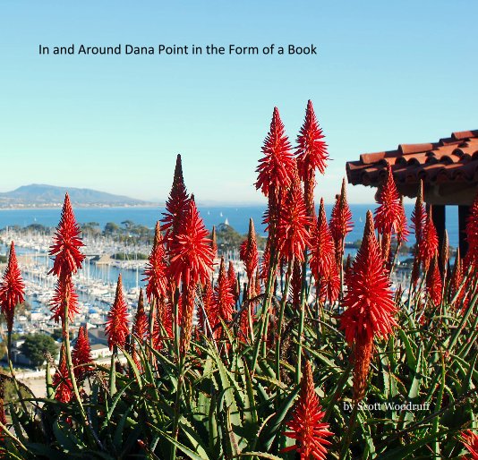 View In and Around Dana Point in the Form of a Book by Scott Woodruff
