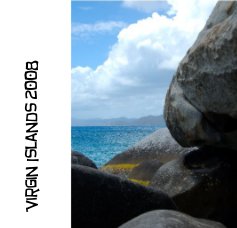 Virgin Islands 2008 book cover