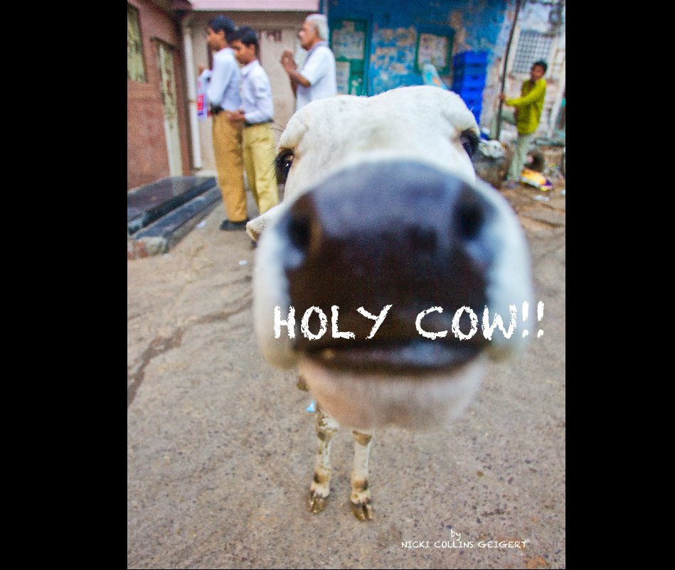 View Holy Cow!! by NICKI COLLINS GEIGERT
