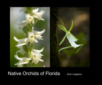 Native Orchids of Florida book cover