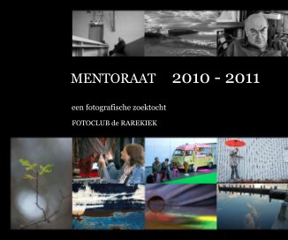MENTORAAT 2010 - 2011 book cover