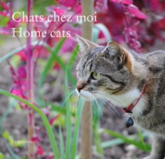 Chats chez moi Home cats book cover