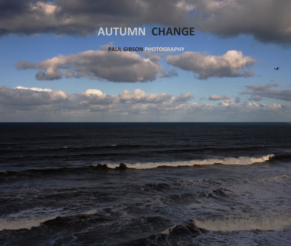 View AUTUMN CHANGE by PAUL GIBSON